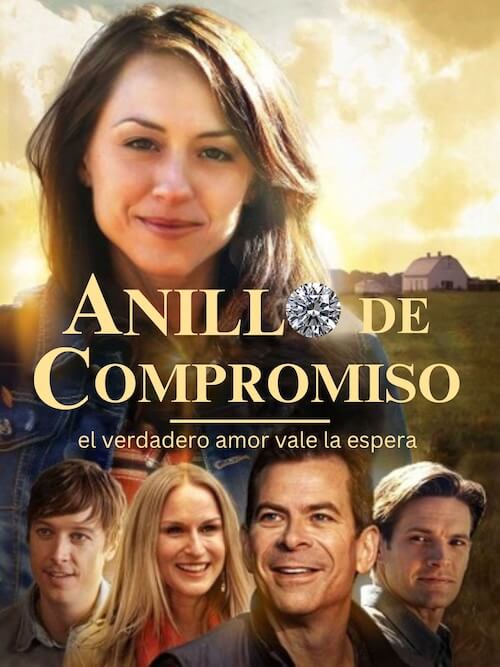 anillo 1